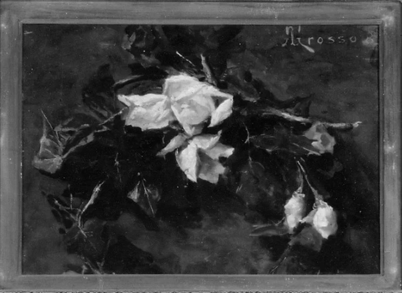 Rose - Palazzo Dal Pozzo della Cisterna, Torino